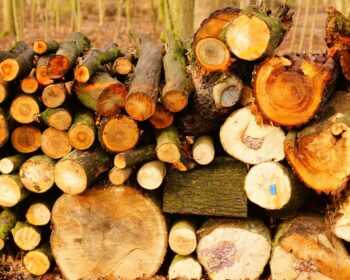 transformation des bois